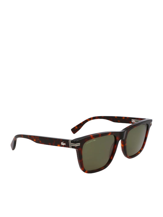 Lacoste Men's Sunglasses with Brown Horn-Rimmed Frame and Brown Lens L6045S-230