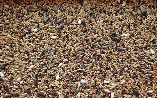 Farma Friends Special Mix Birds Food for Wild Birds 20kg