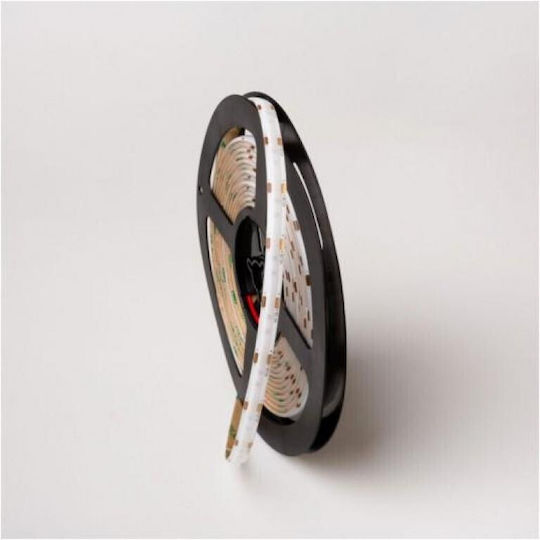 Eco Light Waterproof LED Strip 12V Green Light 5m Type COB