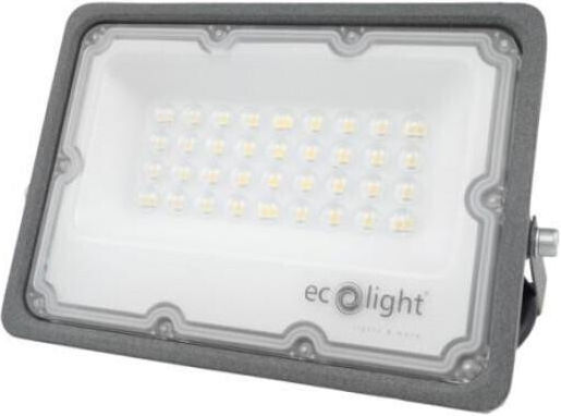 Eco Light Στεγανός Προβολέας LED 30W Ψυχρό Λευκό 6500K με Αισθητήρα Κίνησης IP65