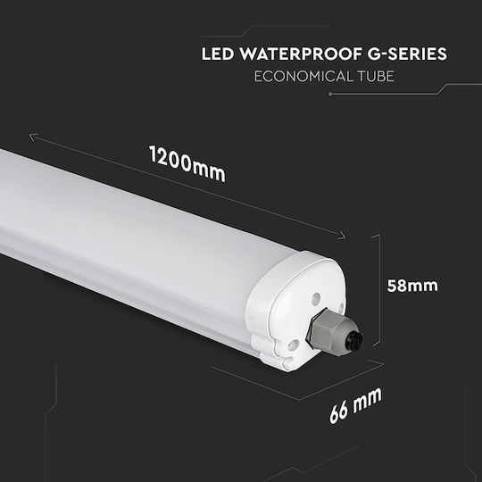 Led Waterproof IP65 Fluorescent Type Lighting Batten 120cm V-tac Cree Vhip Led 36W 4820lm 6500K – 2162846