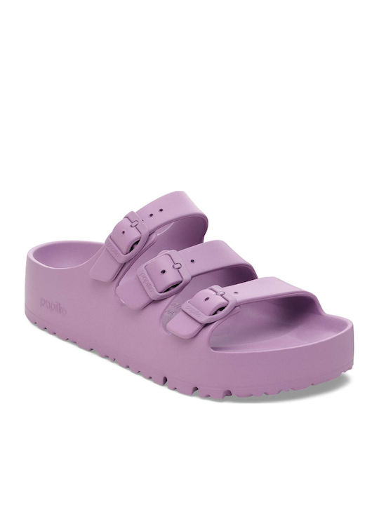 Papillio