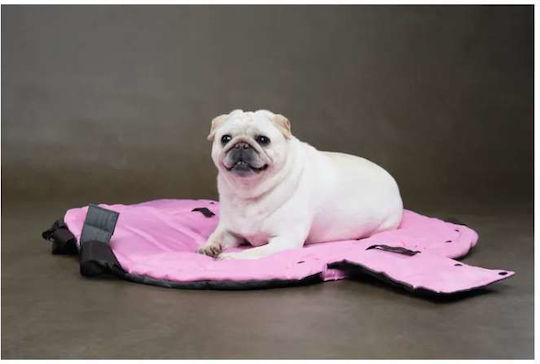 Flamingo Shoulder Bag for Dog and Cat Transport Brown M62xW28xH26cm