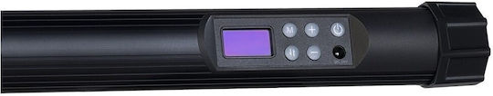 Quadralite 2061725