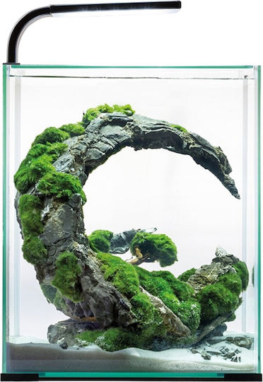 Aquael Shrimp Set Aquarium Fish Tank Capacity 320lt Includes Lighting Heater Filter 30x29x35cm Black