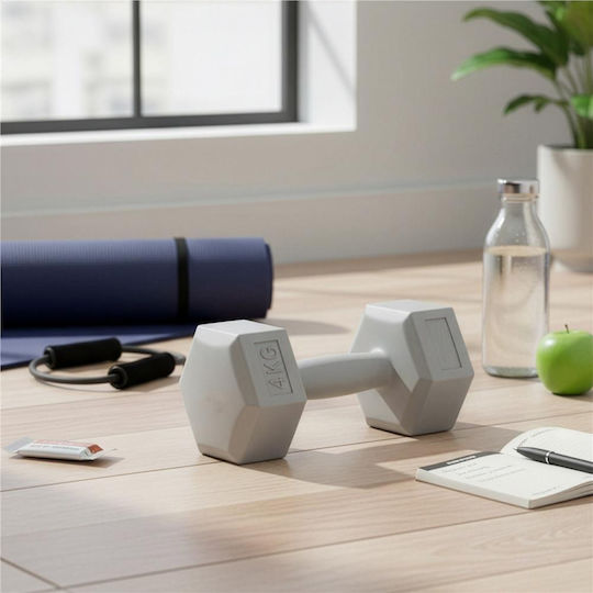 Hexagon Dumbbell 1 x 4kg