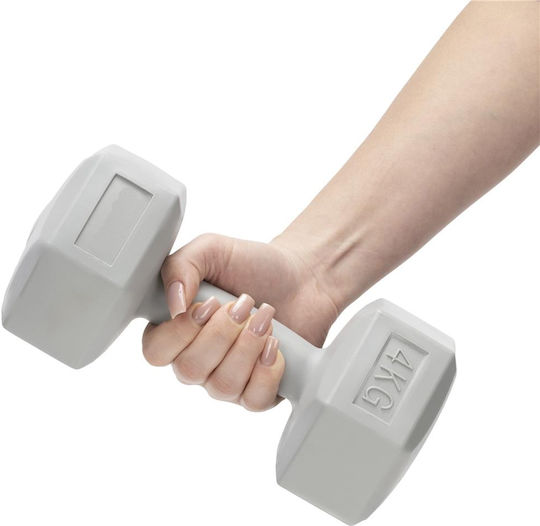 Hexagon Dumbbell 1 x 4kg