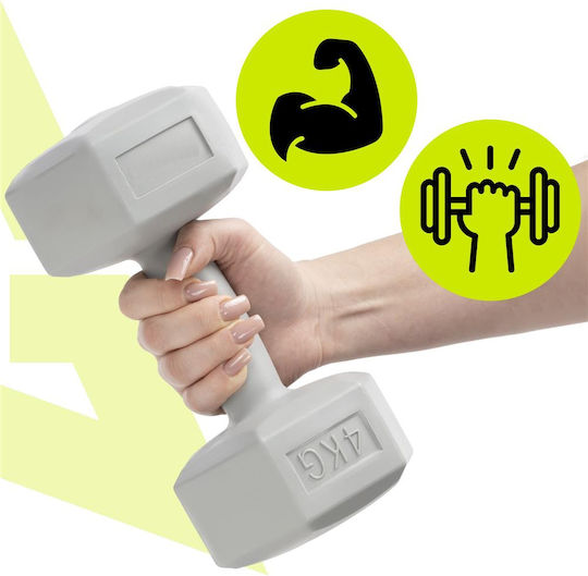 Hexagon Dumbbell 1 x 4kg