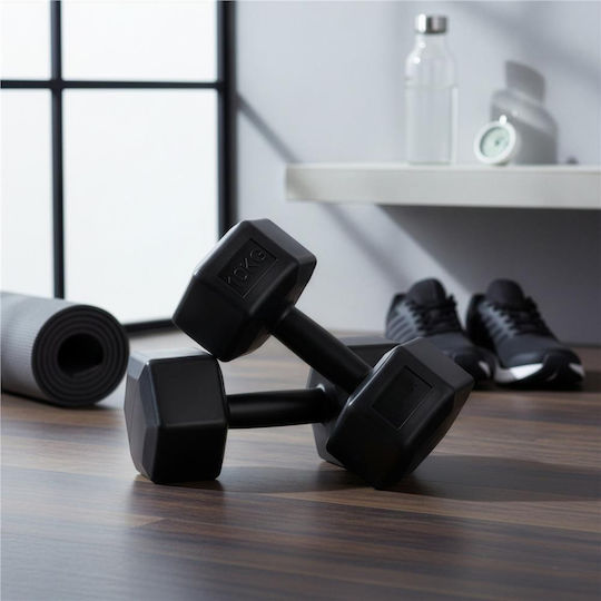 Hanteln Sechseck 1 x 10kg
