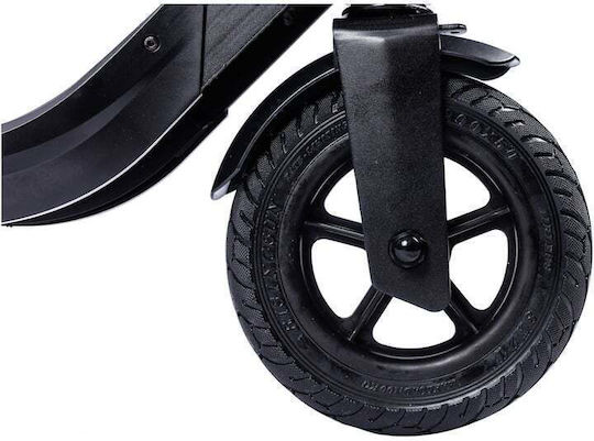 Pegas Fs16a Scooter Envelope