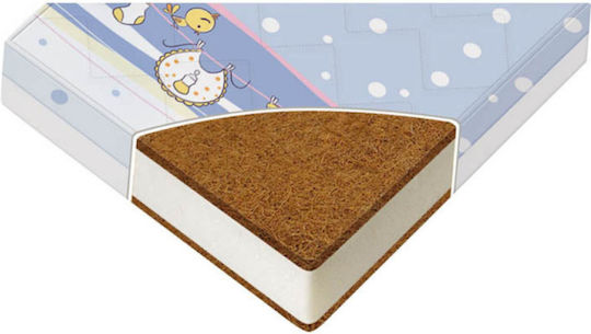 Lorelli 1016006 Lorelli 1016006