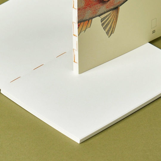 Paper Republic Replacement A4 Pads 48 Sheets with White Pages with White Pen Case