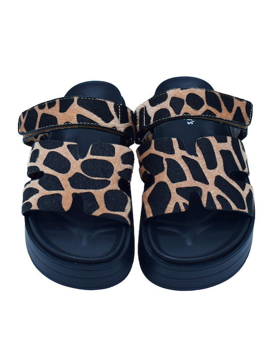Adam's Shoes
