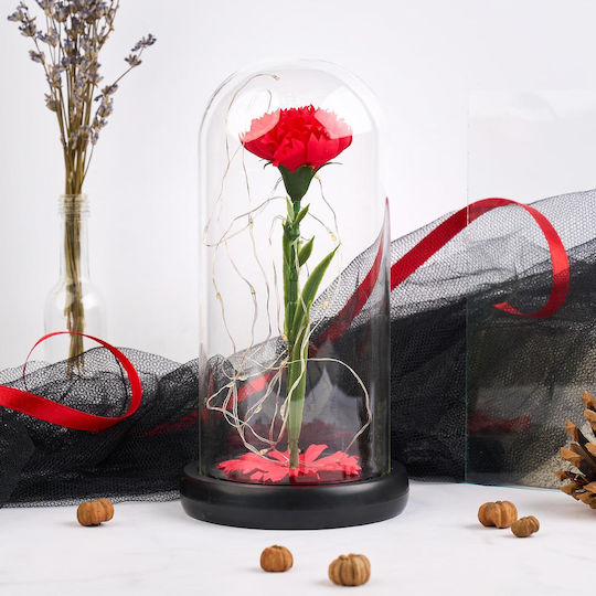 Lămpi Decorative Pentru Masă LED Alb Cald Floare 20x9cm
