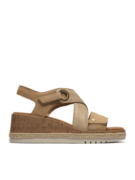 Clarks