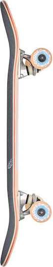 Globe Mini 10525484Y_FLMEYE Complete Shortboard