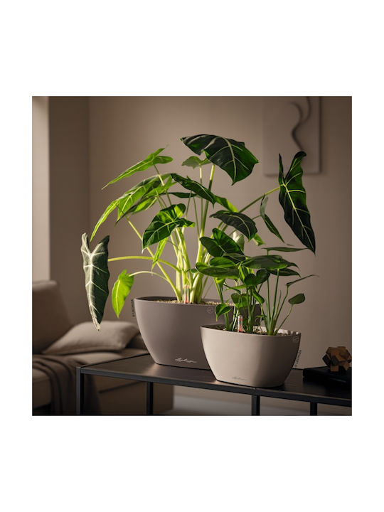 Lechuza Self-Watering Flower Pot Sand Brown 39x19x18cm
