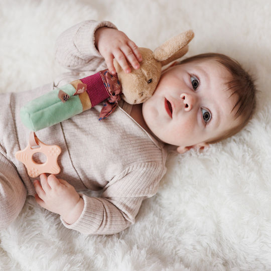 Babyono Baby Rattle For 6+ Months