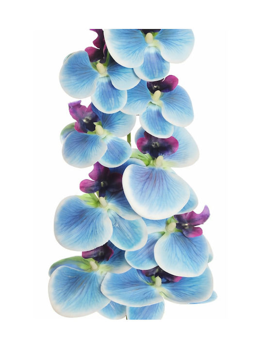 Orchid Phalaenopsis Light Blue Stem 0x0x97cm Monochrome Evergreens