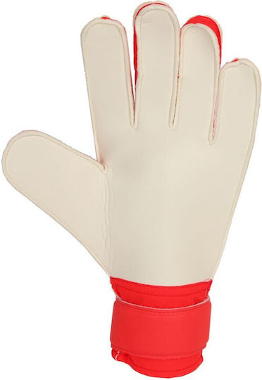 adidas Predator Training Γάντια Τερματοφύλακα Ενηλίκων Λευκά