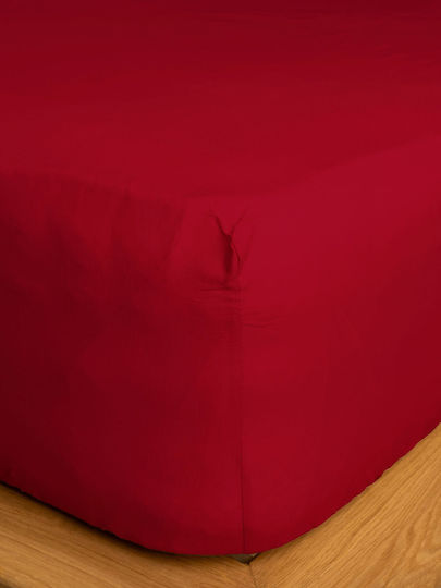 Sunshine Sheet Semi Double with Elastic 120x200+30cm. Cotton Feelings 151 113 Red