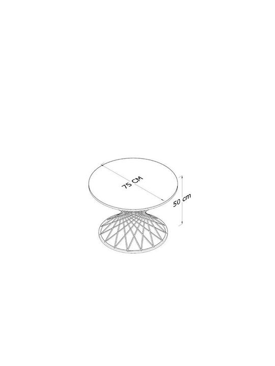 SteweHome Modern Coffee Table Pota with Silver Base and Mirror Top 75x75x50cm
