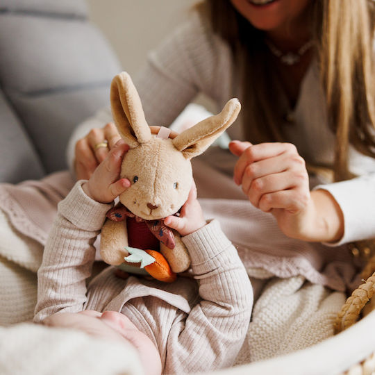 Babyono Pendant Toy for Cot and Stroller for Newborns