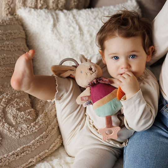 Babyono Pendant Toy for Cot and Stroller for Newborns