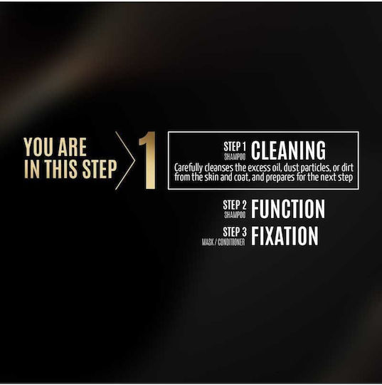 Tauro Șampon Deep Clean 3.785l
