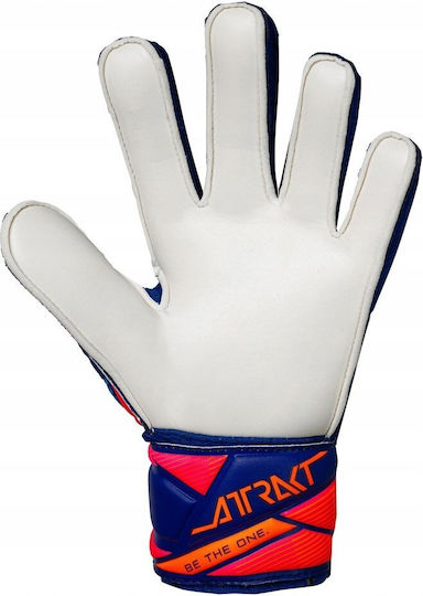 Reusch Goalkeeper Gloves Kids Blue
