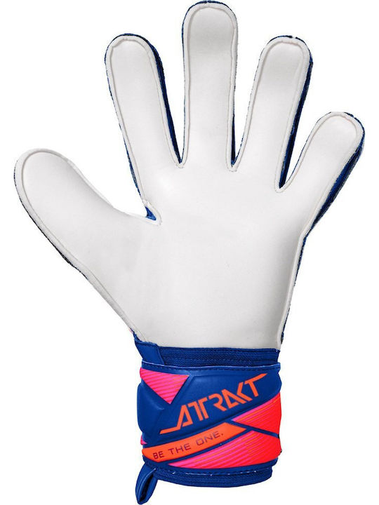 Reusch Goalkeeper Gloves Adults Blue
