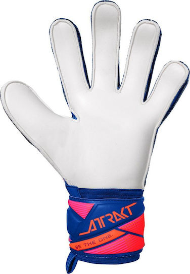 Reusch Goalkeeper Gloves Adults Blue