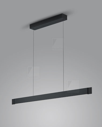 Helestra Pendant Light Black