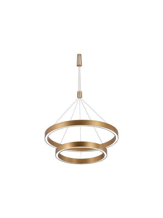 Braytron Pendant Light Gold 60cm