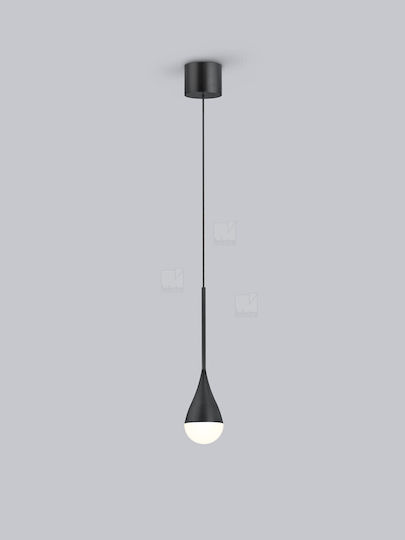 Helestra Hängelampe Schwarz 7.2x7.2cm Helestra Hängelampe Schwarz 7.2x7.2cm