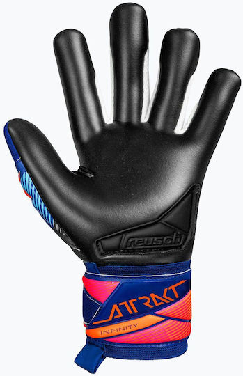 Reusch Goalkeeper Gloves Adults Blue