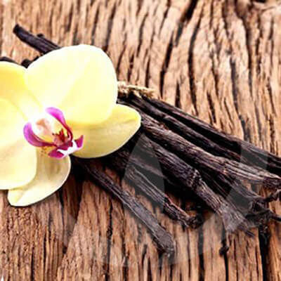 Fragrance Oil Vanilla Musk 10ml
