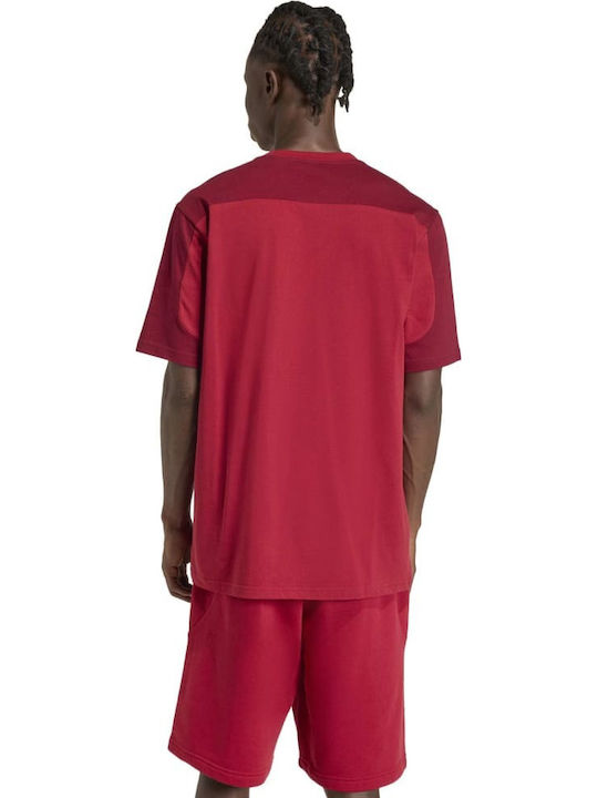 adidas Collegiate T-shirt Μπορντο