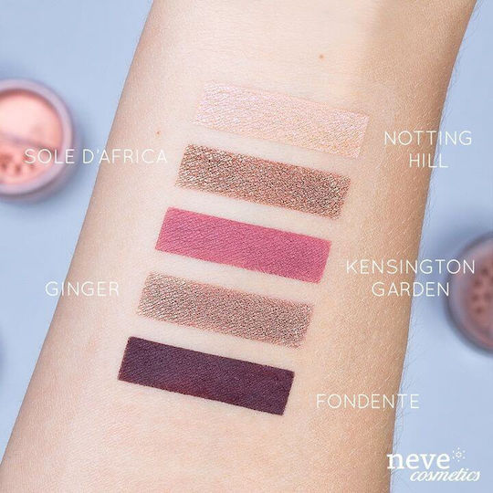 Neve Neve Matte Eye Shadow Powder in Brown Color