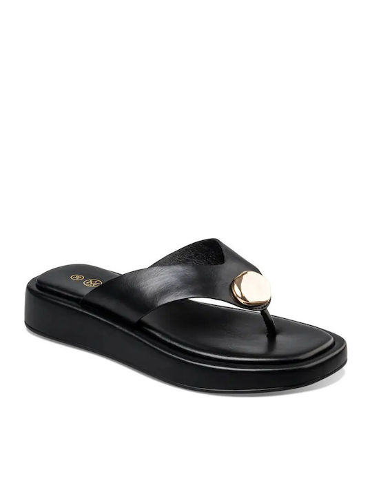 Envie Shoes