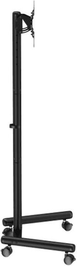 Sbox Mobile Mount Βάση Τηλεόρασης Δαπέδου έως 50" και 20kg Μαύρο
