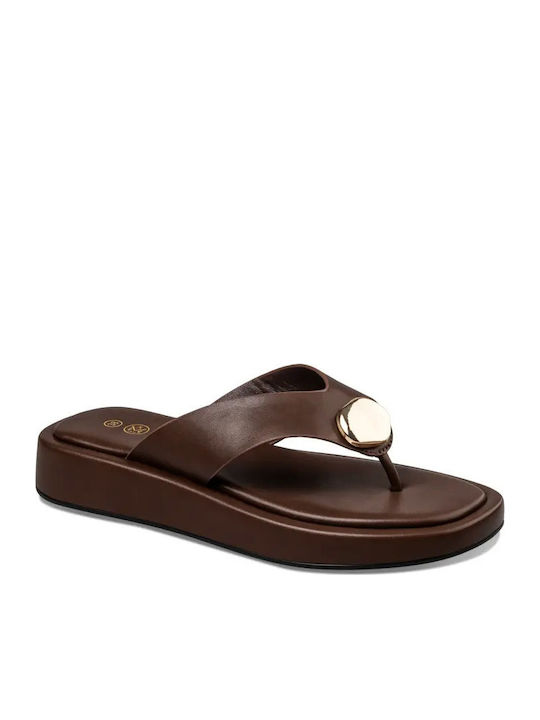Envie Shoes Envie Shoes