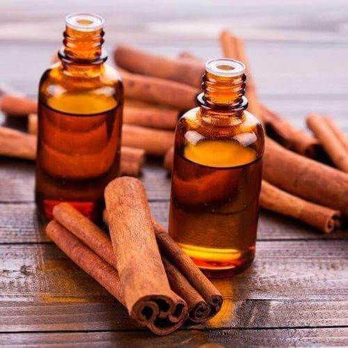 Essential Oil Cinnamon 10ml