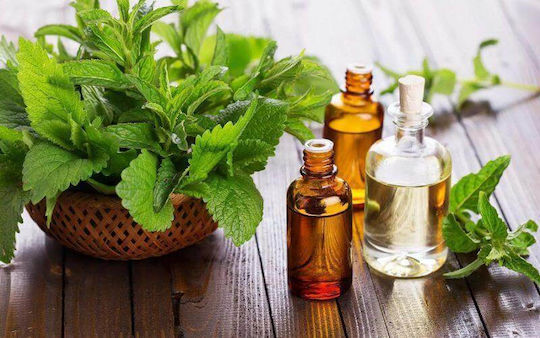 Essential Oil Patchouli 10ml