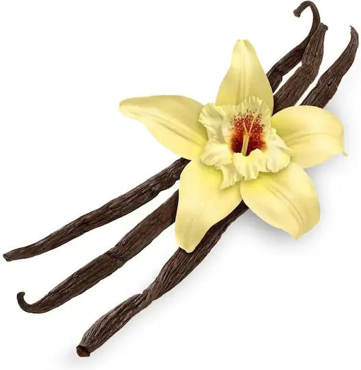 Fragrance Oil Vanilla 10ml