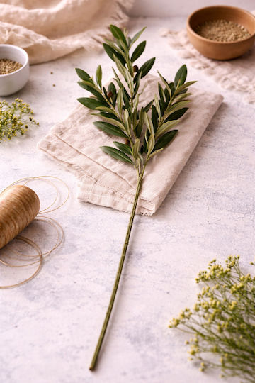 Κλαδι Ελιας Ελιες 0x0x85cm Μονόχρωμο Evergreens