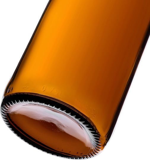 10 Pcs Glass Bottles Wine Liqueur Wine Bottle 0.75l 750ml + Stoppers