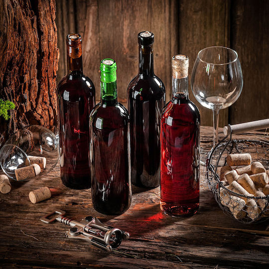 10 Pcs Glass Bottles Wine Liqueurs Wine Bottle 0.75l 750ml + Stoppers