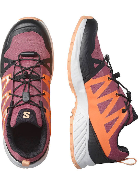 Salomon Salomon