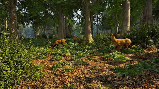 Park Ranger Simulator PS5 Game